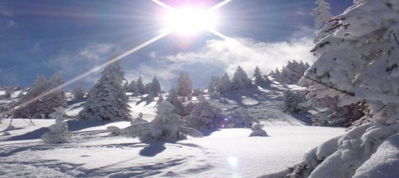 2 rooms Apartment in Kirchberg in Tirol, Austria No. 212415 17