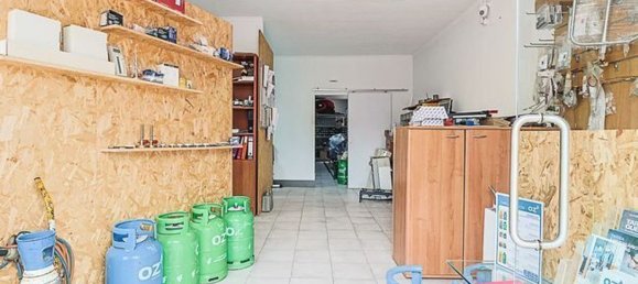 Gewerbliche Immobilie in Coimbra, Portugal 100m², Nr. 64543 8