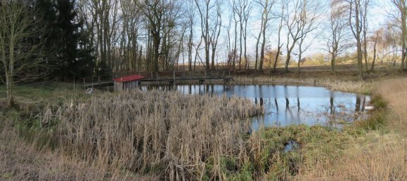 6 rooms Farm in Uckermark, Germany No. 60211 4