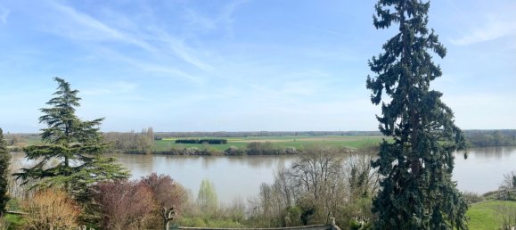 7 chambres Maison à Meung-sur-Loire, France No. 38956 11