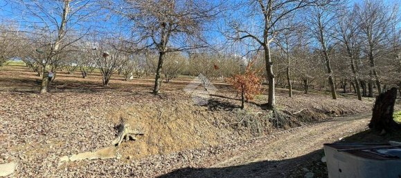 Casa T3 em Dogliani, Italy N.º 60547 49