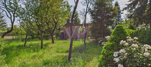 1 bedroom Bungalow in Oder-Spree, Germany No. 314306 10