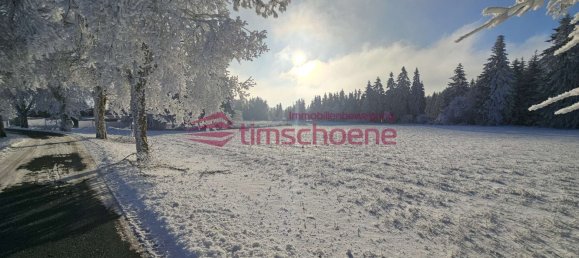  Land in Ilm-Kreis, Germany No. 25930 2