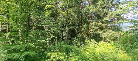 Grundstück in Kainach bei Voitsberg, Austria, Nr. 166099 3