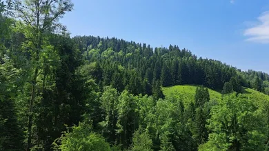 Grundstück in Kainach bei Voitsberg, Austria, Nr. 166099