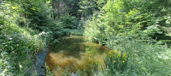 Grundstück in Kainach bei Voitsberg, Austria, Nr. 166099 7