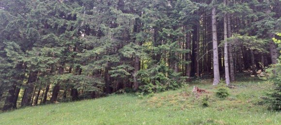 Grundstück in Kainach bei Voitsberg, Austria, Nr. 166099 6