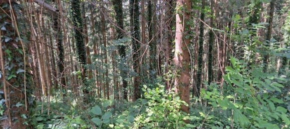 Grundstück in Kainach bei Voitsberg, Austria, Nr. 166099 2