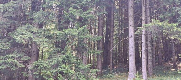 Grundstück in Kainach bei Voitsberg, Austria, Nr. 166099 5