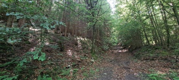 Grundstück in Kainach bei Voitsberg, Austria, Nr. 166099 4