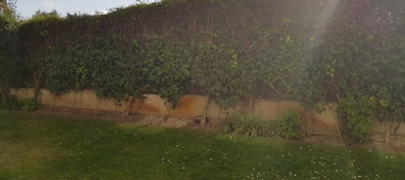 Büro in Madrid, Spain 221m², Nr. 63149 44