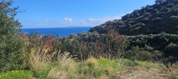 12329m² Hotel for sale in Gazi, Malevizi, Heraklion, Crete, Greece № 71398 2