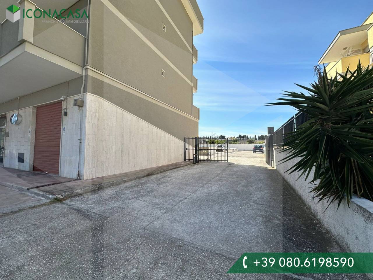 1 room Commercial property in Monopoli, Italy No. 28469