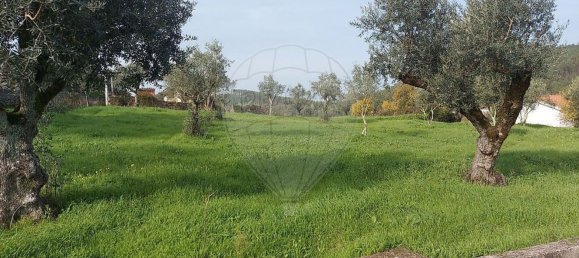 3 bedrooms House in Mouriscas, Portugal No. 187061 9