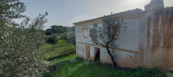 3 bedrooms House in Mouriscas, Portugal No. 187061 3