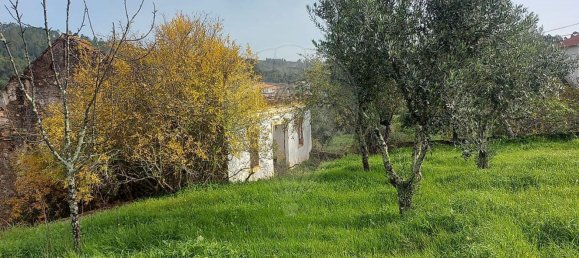 3 bedrooms House in Mouriscas, Portugal No. 187061 6