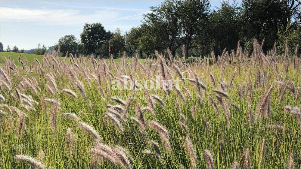 Grundstück in Zell am See, Austria, Nr. 114655