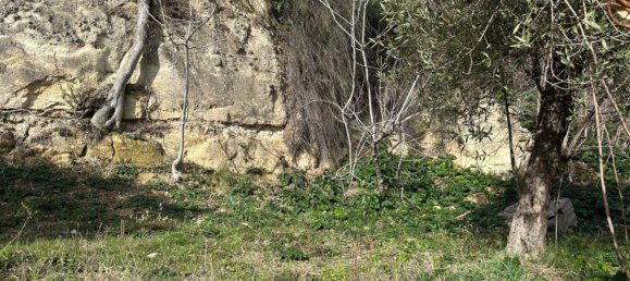 4 chambres Villa à Torre de' Passeri, Italy No. 302399 16