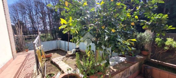 3-Zimmer Wohnung in Lariano, Italy, Nr. 39293 44