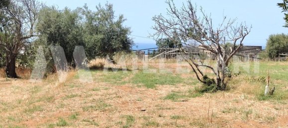 6 rooms Villa in Scicli, Italy No. 133264 15