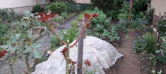 2-salle Maison à Main-Spessart, Germany No. 288728 2