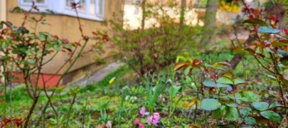 2 rooms Apartment in Ottakring, Austria No. 128444 5