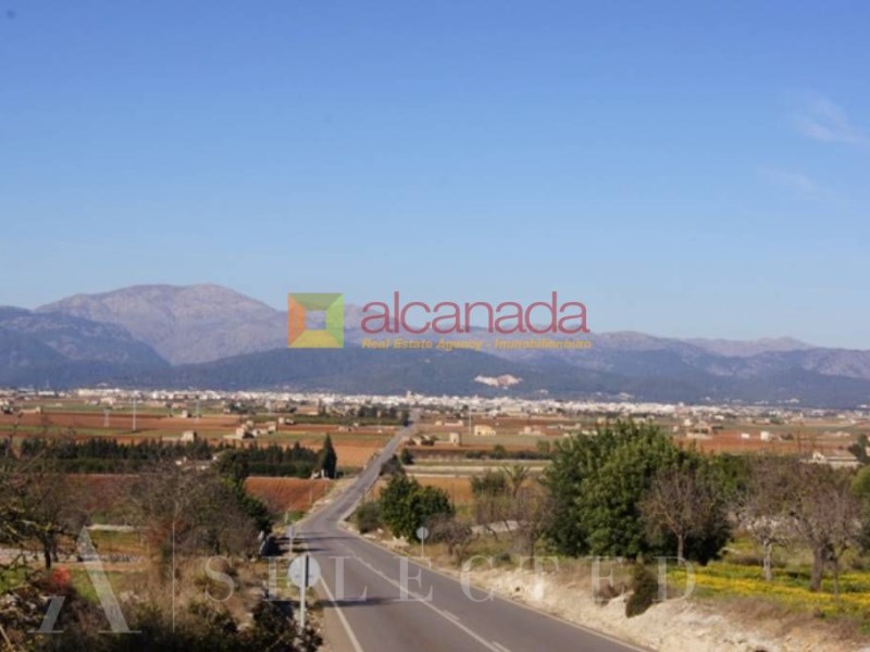  Commercial property in Sa Pobla, Spain No. 73191