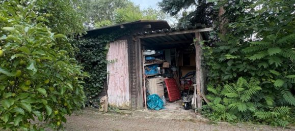  قطعة أرض في Barnim, Germany رقم 292317 6