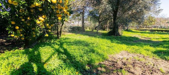 3 Schlafzimmer Haus in Carrazedo, Portugal, Nr. 167520 4