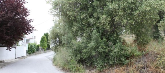 Hotel in Chalkidiki, Greece 6000m², Nr. 6312 11