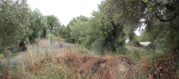 6000m² Hotel in Chalkidiki, Greece No. 6312 12