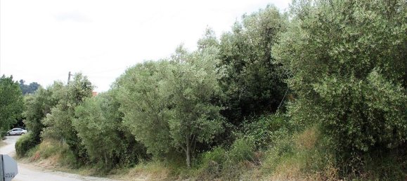 6000m² Hotel in Chalkidiki, Greece No. 6312 2