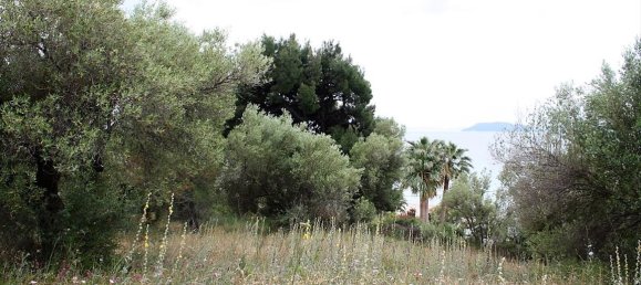 6000m² Hotel in Chalkidiki, Greece No. 6312 5