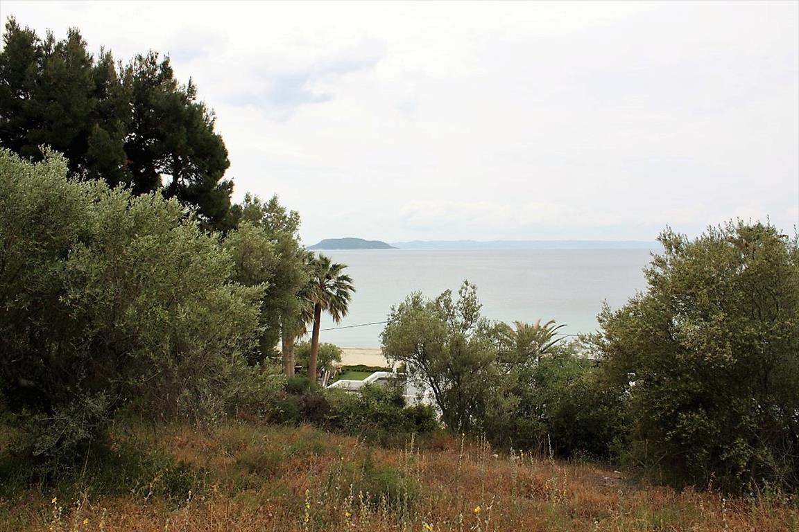 Hotel in Chalkidiki, Greece 6000m², Nr. 6312