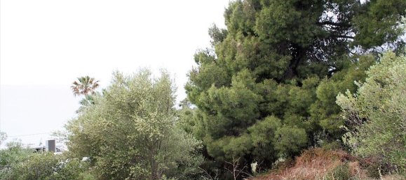 6000m² Hotel in Chalkidiki, Greece No. 6312 7