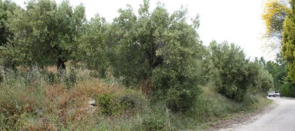 6000m² Hotel in Chalkidiki, Greece No. 6312 10