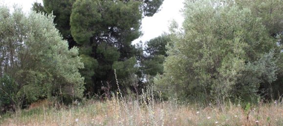 6000m² Hotel in Chalkidiki, Greece No. 6312 6