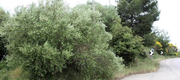 6000m² Hotel in Chalkidiki, Greece No. 6312 3