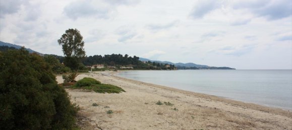 6000m² Hotel in Chalkidiki, Greece No. 6312 13