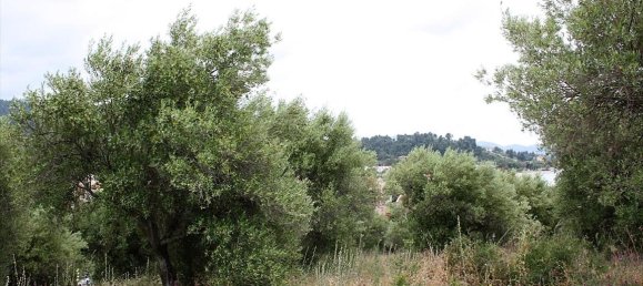 6000m² Hotel in Chalkidiki, Greece No. 6312 4