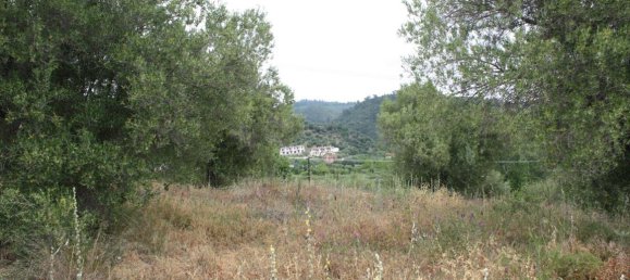 6000m² Hotel in Chalkidiki, Greece No. 6312 8