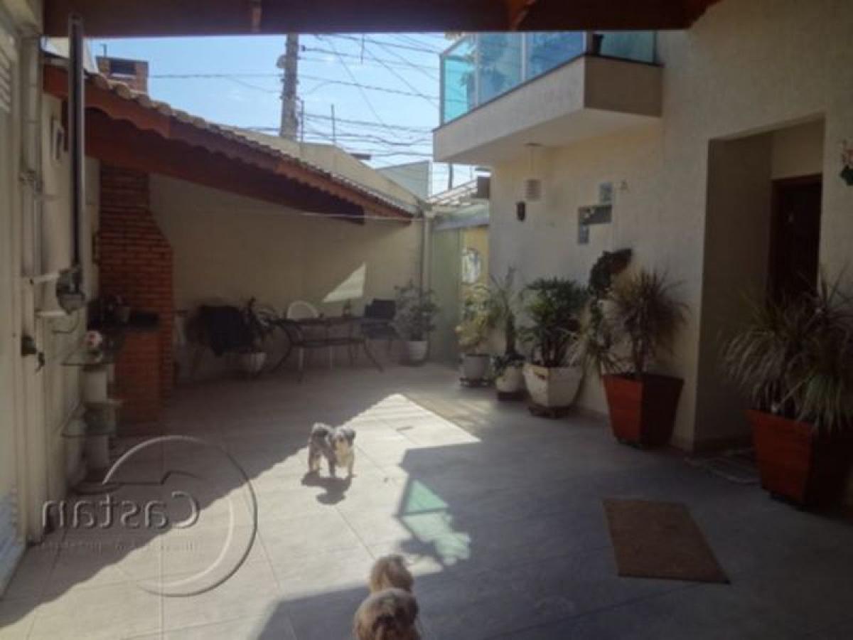 3 chambres Maison à Sao Paulo, Brazil No. 562376