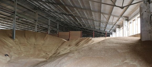 Gewerbliche Immobilie in Sömmerda, Germany 6160m², Nr. 341439 8