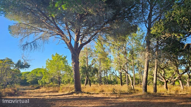 Земельный участок 3760м² в Лагуш, Португалия № 310852