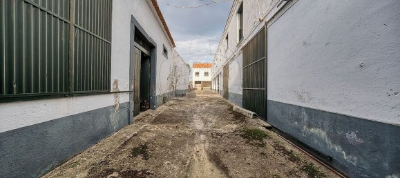 8 bedrooms House in Alpiarca, Portugal No. 25395 43