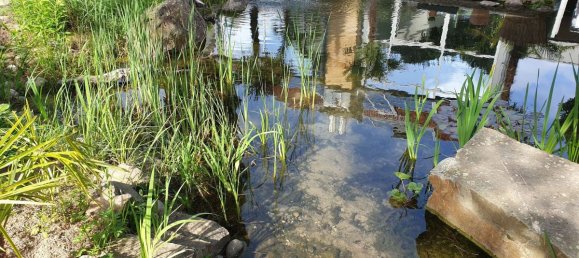 Дом с 4 спальнями в Майнц, Германия № 88451 9