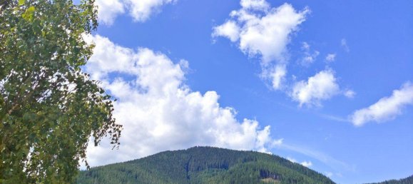 2-Zimmer Wohnung in Neuberg an der Mürz, Austria, Nr. 209793 13