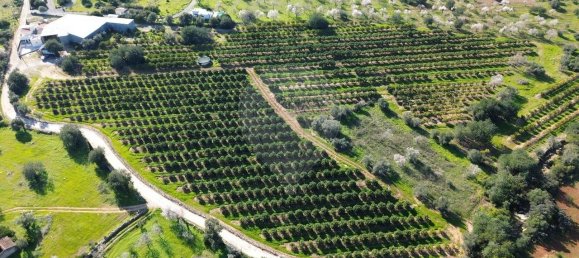 3 bedrooms House in Olhao, Portugal No. 180366 35