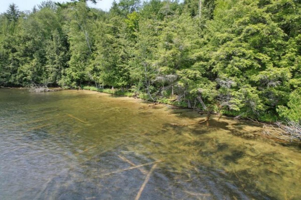  Land in Laona, USA No. 502804