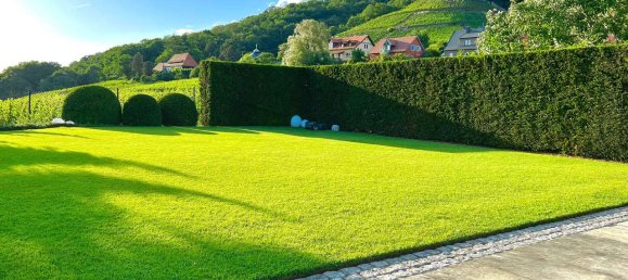 6 Schlafzimmer Villa in Dresden, Germany, Nr. 63061 20